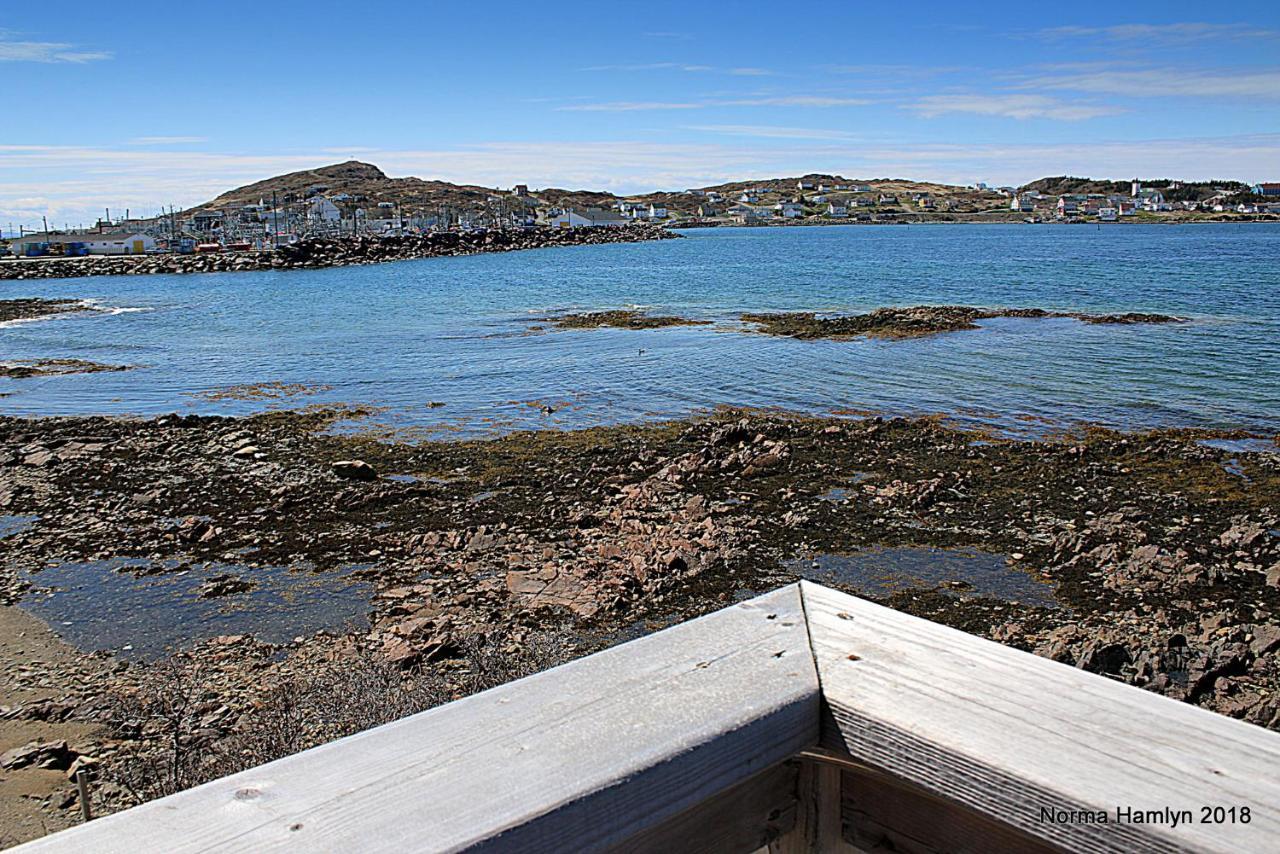 Toulinguet Inn - Suites Twillingate Kültér fotó